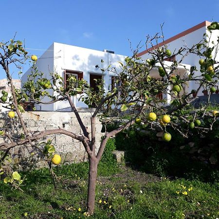 Maria Guesthouse 키니언 외부 사진